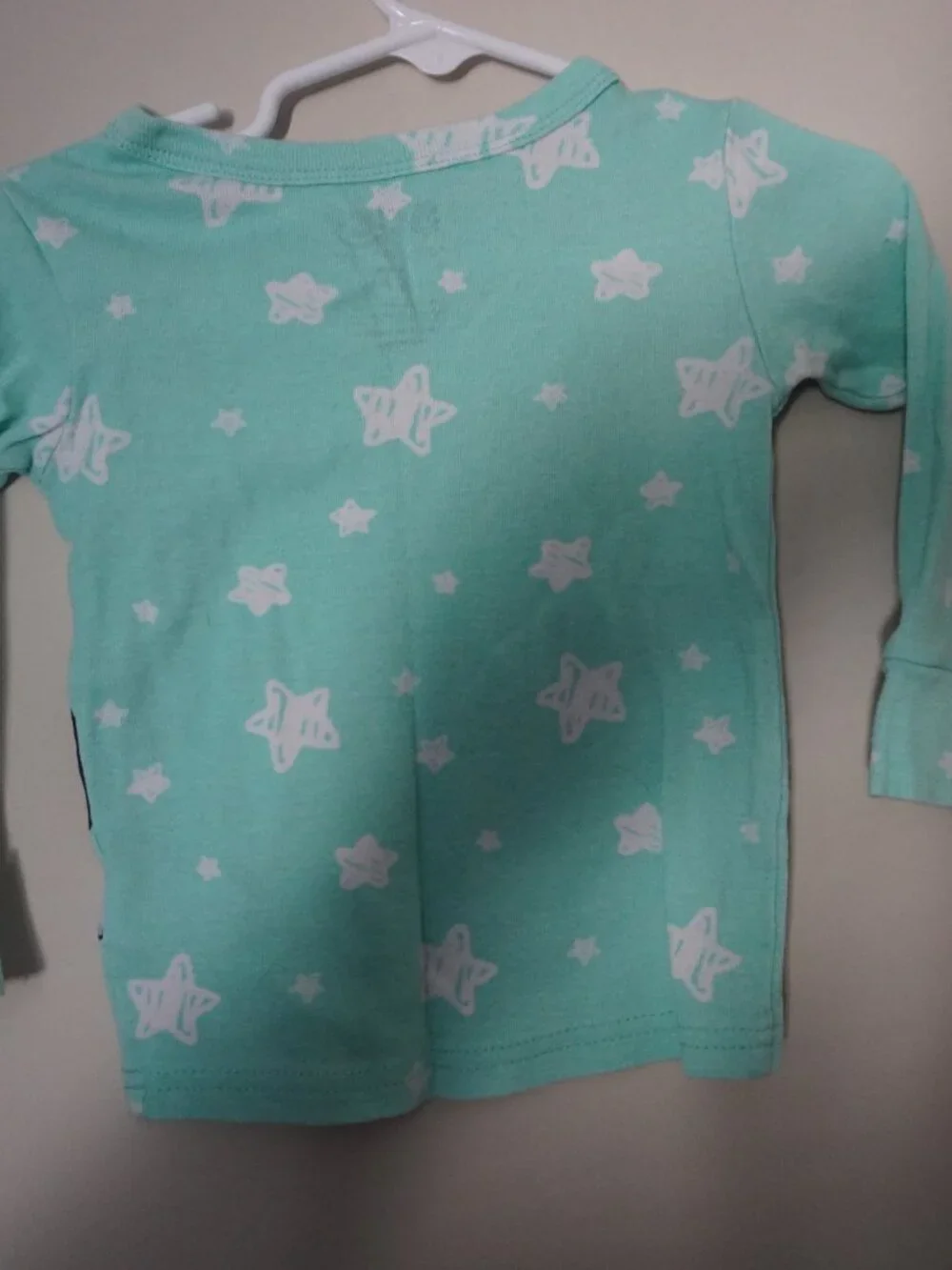 Kids' Mint Bluey & Bingo Character Pajama Top - Long Sleeve